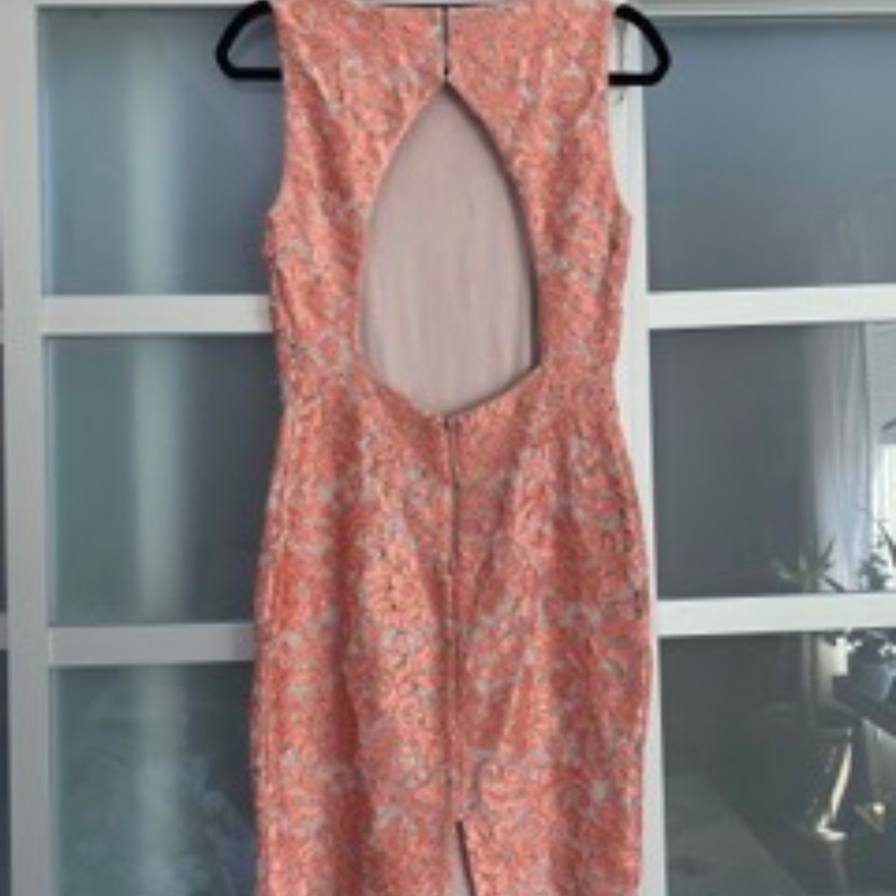 Calvin Klein Sz 2 Cut Out Back Pink/Peach Floral Lace